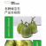 中科茂华瓜果种子杂交老牌绿宝石甜瓜种子皮肉瓤绿色高糖