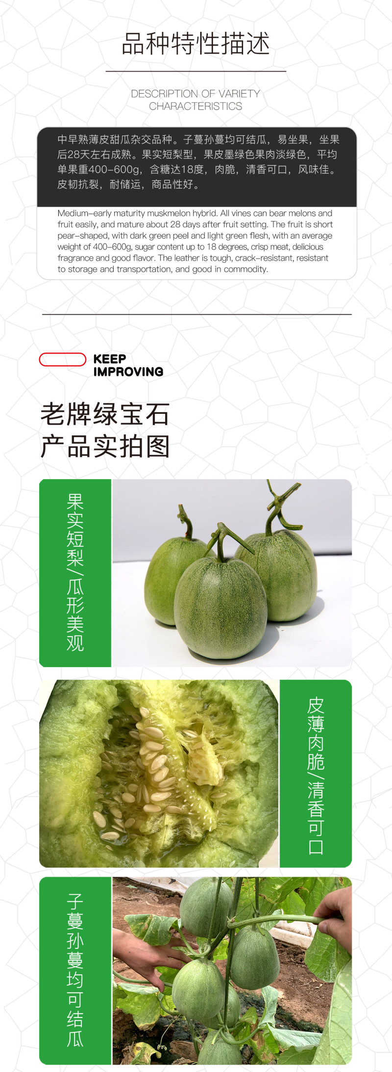 中科茂华瓜果种子杂交老牌绿宝石甜瓜种子皮肉瓤绿色高糖