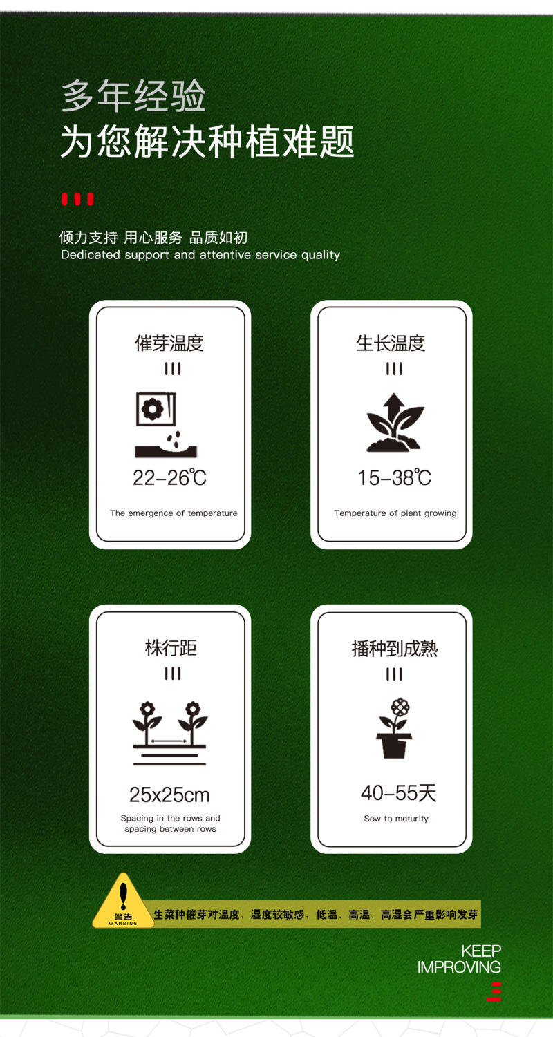 中科茂华蔬菜种子奥美斯特568大速生菜种子大叶深绿色耐寒