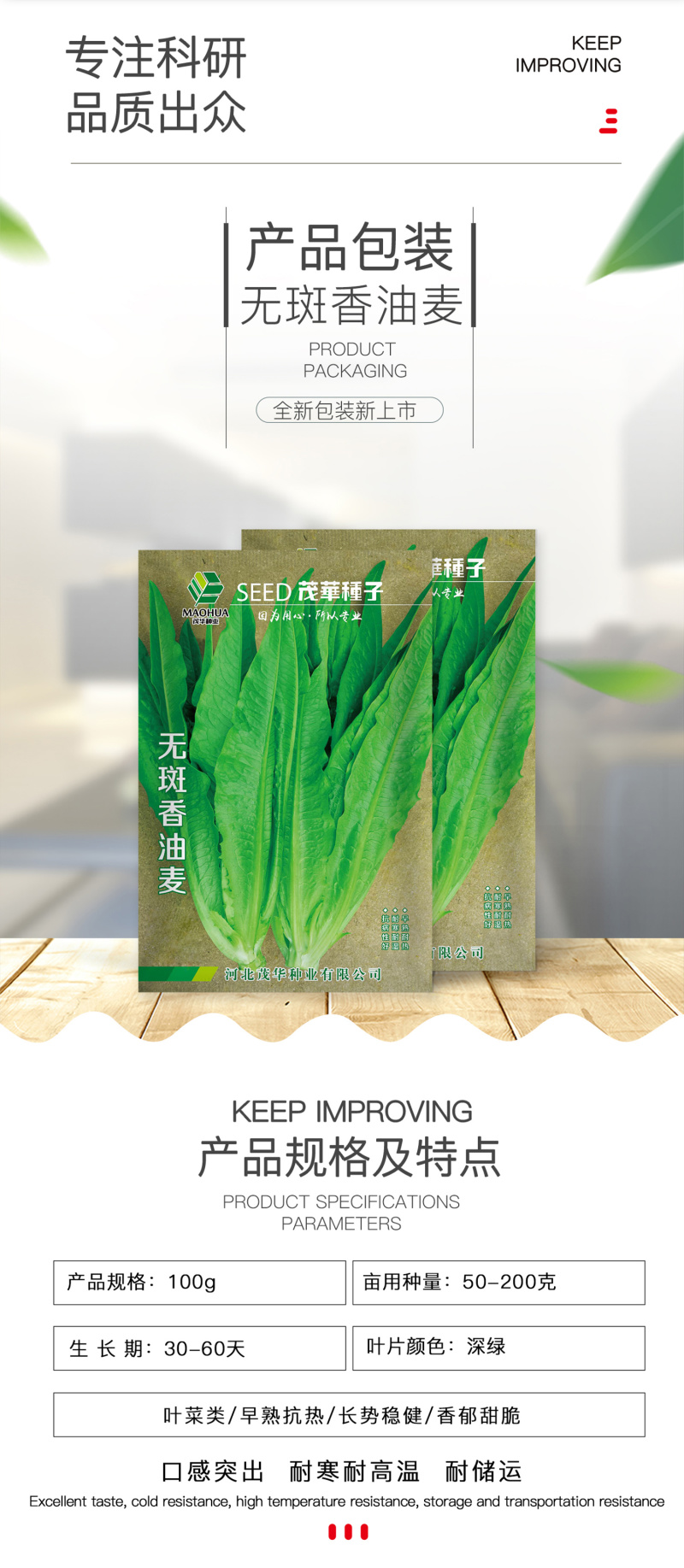 中科茂华蔬菜种子油麦菜生菜种子美利坚亮剑类型油麦菜种子