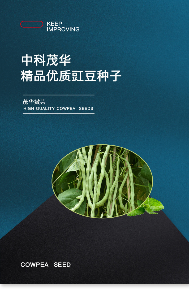 中科茂华蔬菜种子茂华嫩芸红籽豆角种子搭架豆角