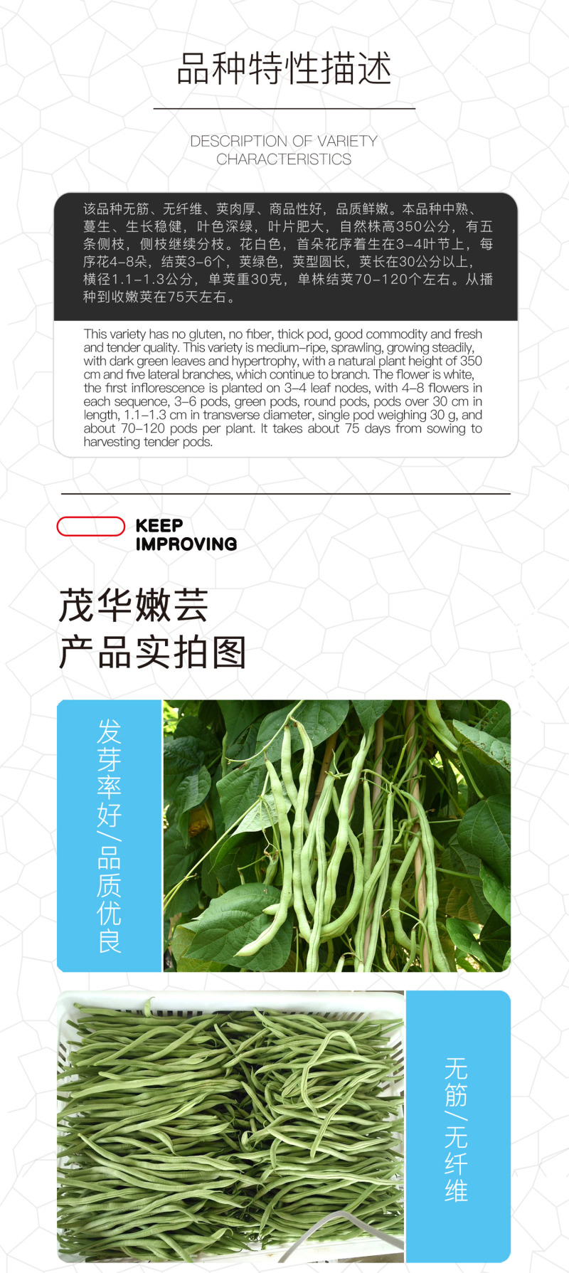 中科茂华蔬菜种子茂华嫩芸红籽豆角种子搭架豆角