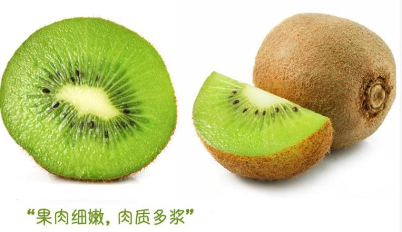 徐香猕猴桃一手货源大量有货各种猕猴桃都有货。