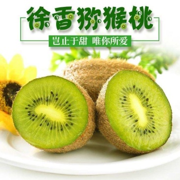 徐香猕猴桃一手货源大量有货各种猕猴桃都有货。