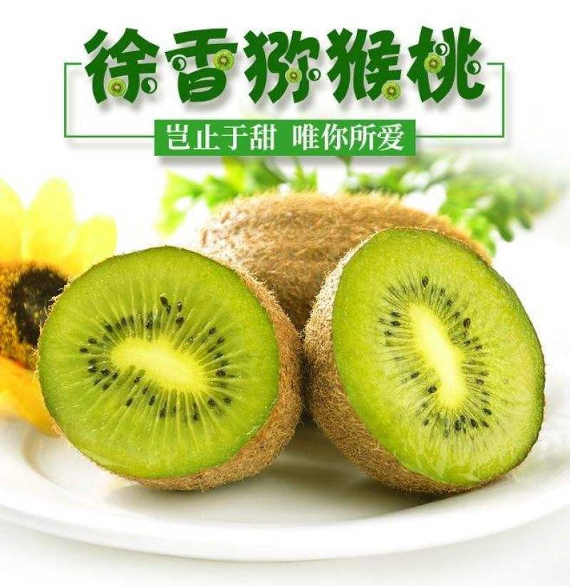 徐香猕猴桃一手货源大量有货各种猕猴桃都有货。