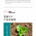 中科茂华蔬菜种子美湖101结球生菜种子叶色翠绿球形美观