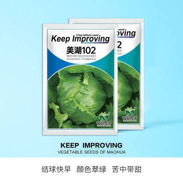 中科茂华蔬菜种子美湖102生菜种子中熟耐寒深绿色球形大