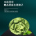 中科茂华蔬菜种子美湖102生菜种子中熟耐寒深绿色球形大