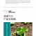 中科茂华蔬菜种子美湖102生菜种子中熟耐寒深绿色球形大