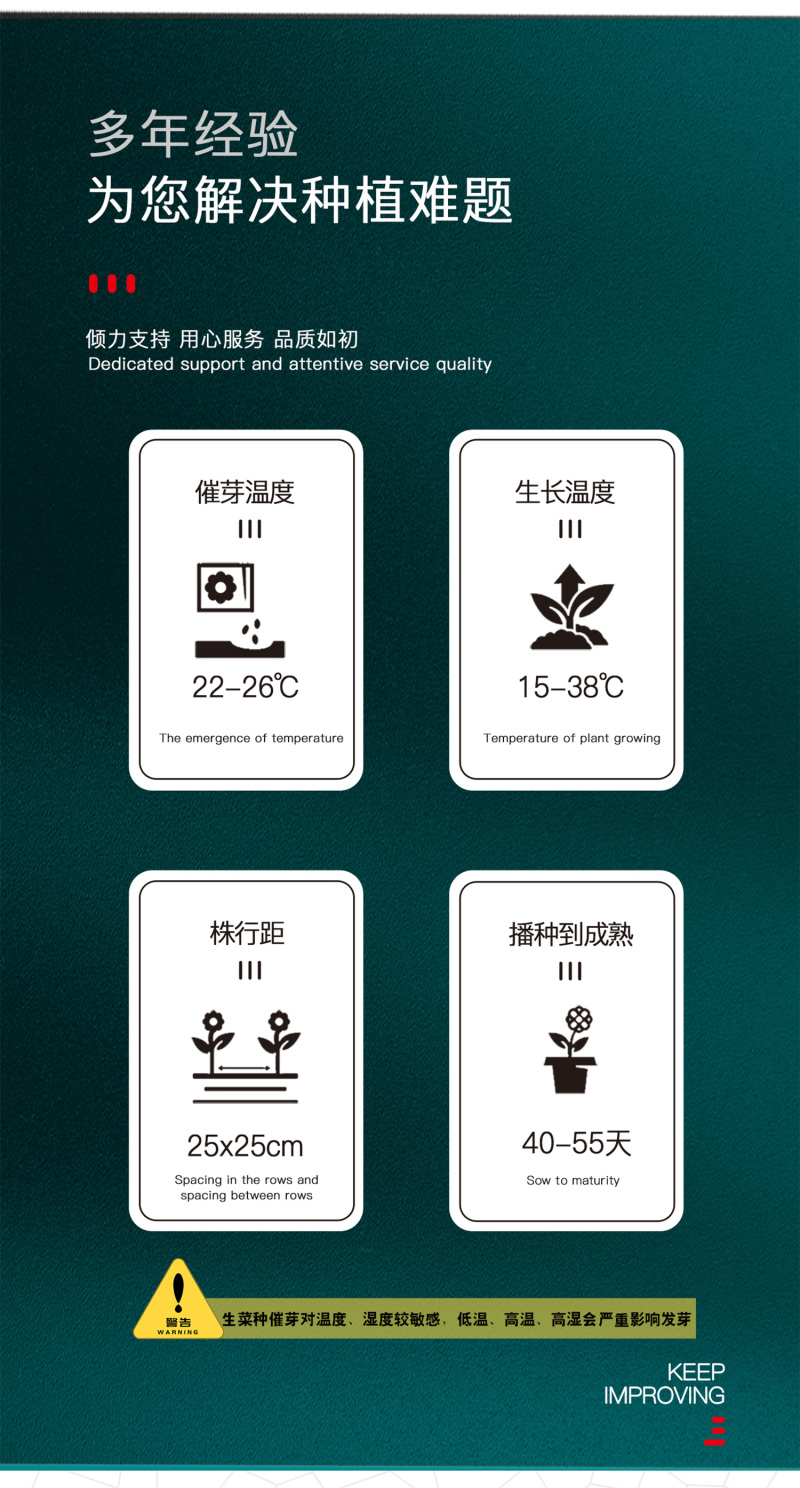 中科茂华蔬菜种子美湖102生菜种子中熟耐寒深绿色球形大