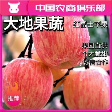 【畅销榜】红富士苹果不零售报价实在货源充足可实地考察