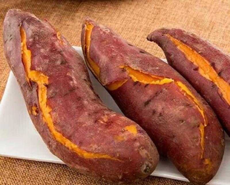 西瓜红红薯直供市场电商加工厂超市产地直发品质有保障