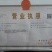 江苏绿化苗木基地直销【枇杷树】大量供应价格美丽