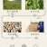 【自营】【批发】山西小薏米400g/袋现货批发