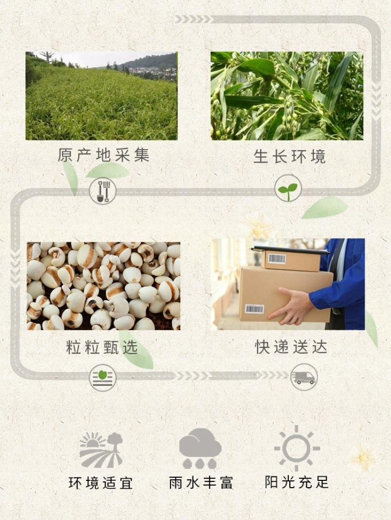【自营】【批发】山西小薏米400g/袋现货批发