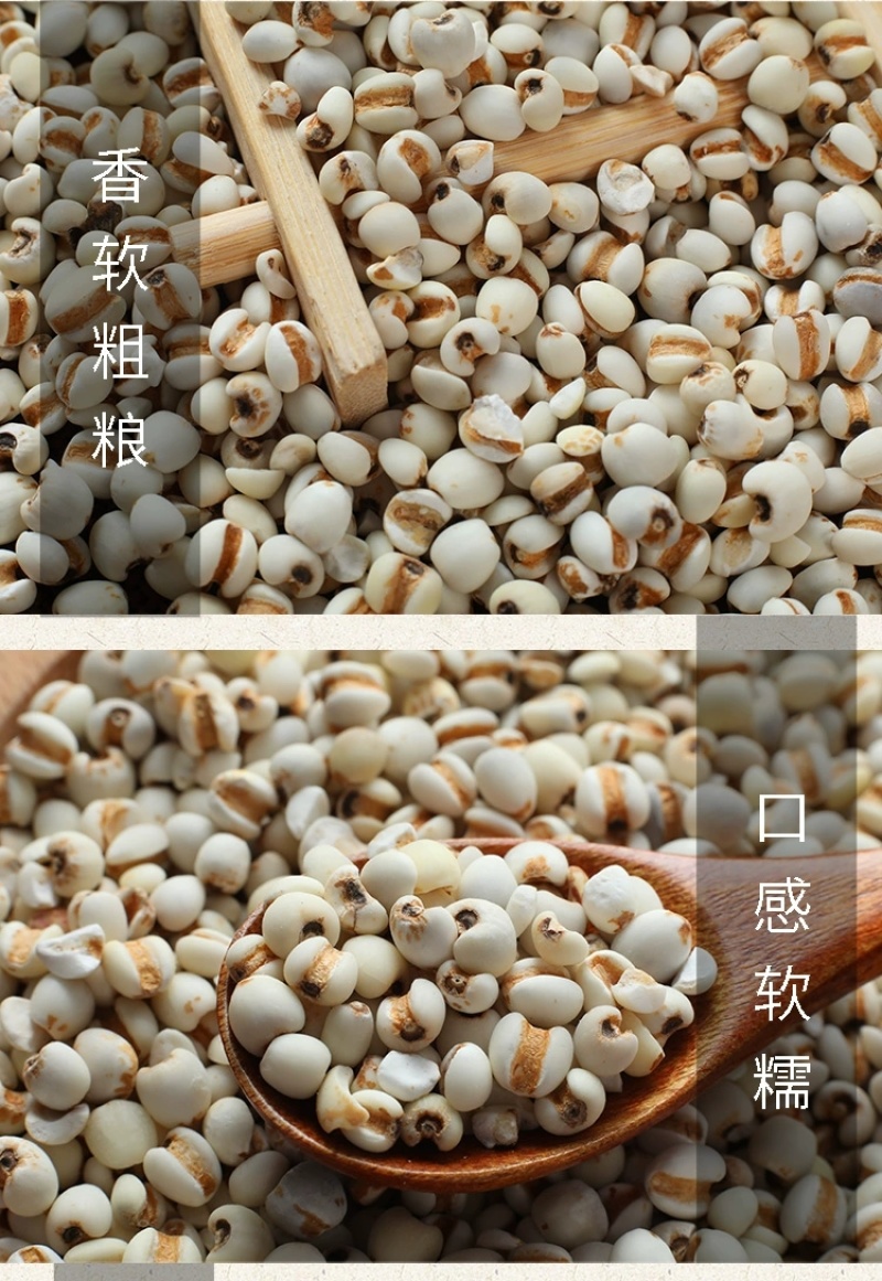 【自营】【批发】山西小薏米400g/袋现货批发
