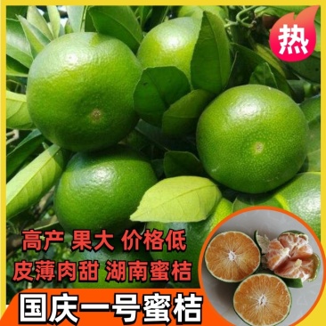蜜桔，湖南柑桔，国庆一号蜜桔，湖南蜜桔普早国庆一号