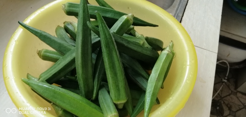 秋葵支持一件代发大量上市中欢迎老板来电咨询