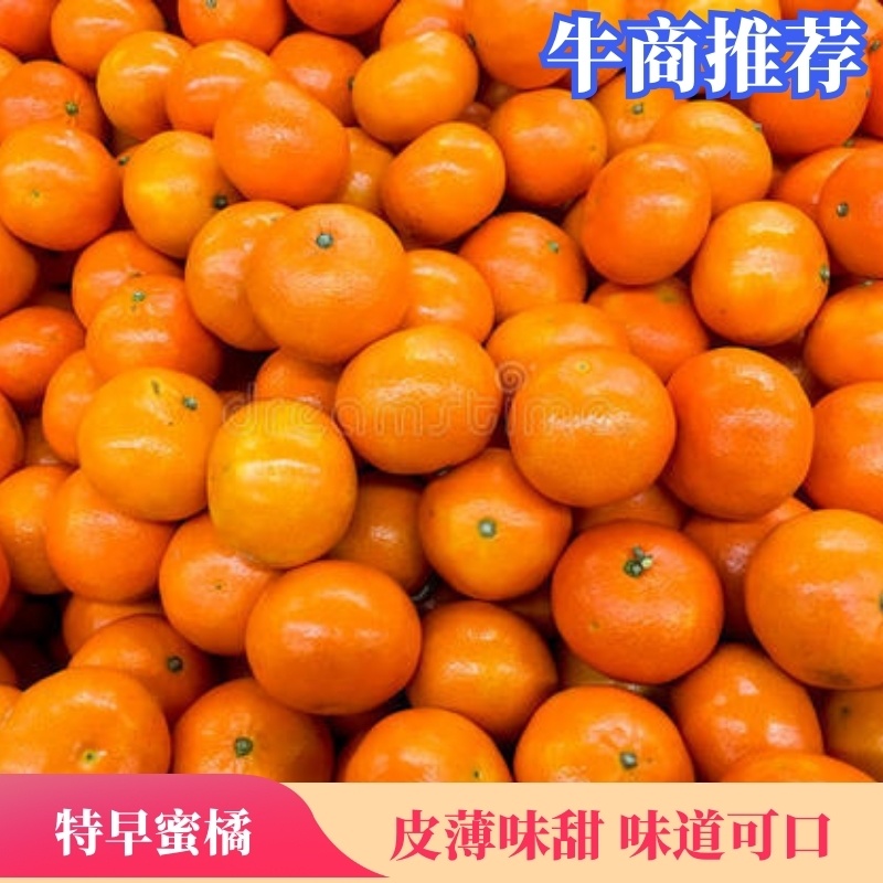 云南特早蜜橘皮薄味甜产地直供欢迎咨询！