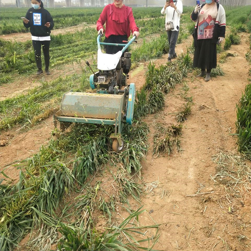 柴油电启动锄草机柴油自走式灭草机果园碎草机型号