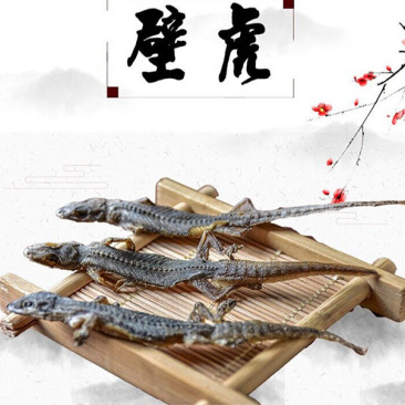 中药材天龙国产品守宫干天龙干完整精选天龙干货壁虎