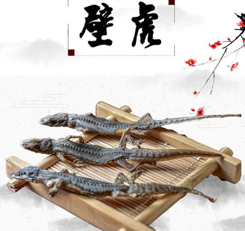 中药材天龙国产品守宫干天龙干完整精选天龙干货壁虎
