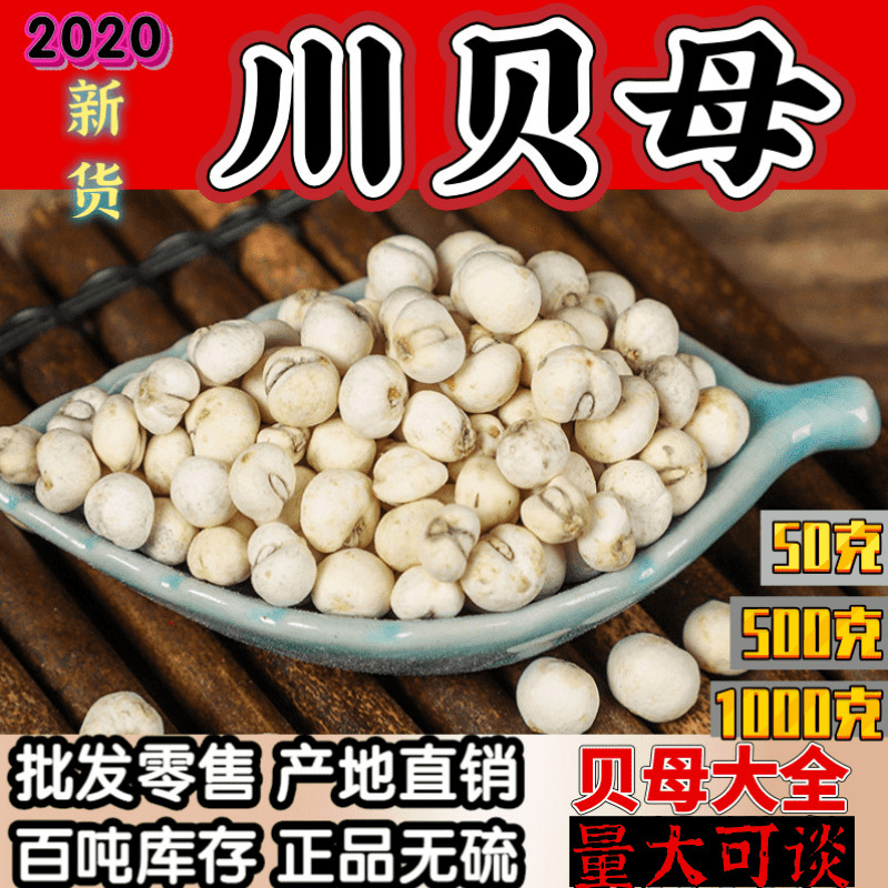 精选中药材平贝母川贝母松贝母个头均匀实物拍摄量