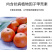柑橘专用叶面肥沙糖桔沃柑脐橙叶面肥美果抗病增产