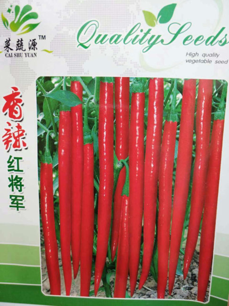线椒苗黄绿皮线椒苗黑线红线椒苗杭椒苗嫁接辣椒苗