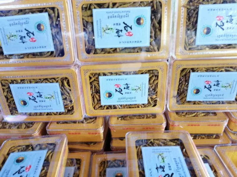 【包邮】柬埔寨野生虎牙石斛品质保证线上交易