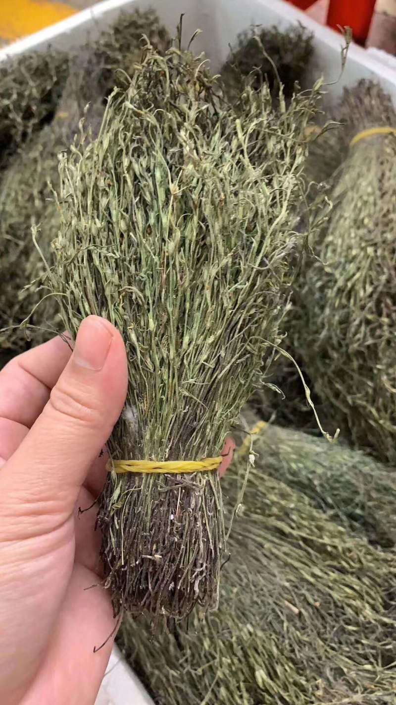 【包邮】新货香青绿柬埔寨野生独脚金靓货足干一手货源
