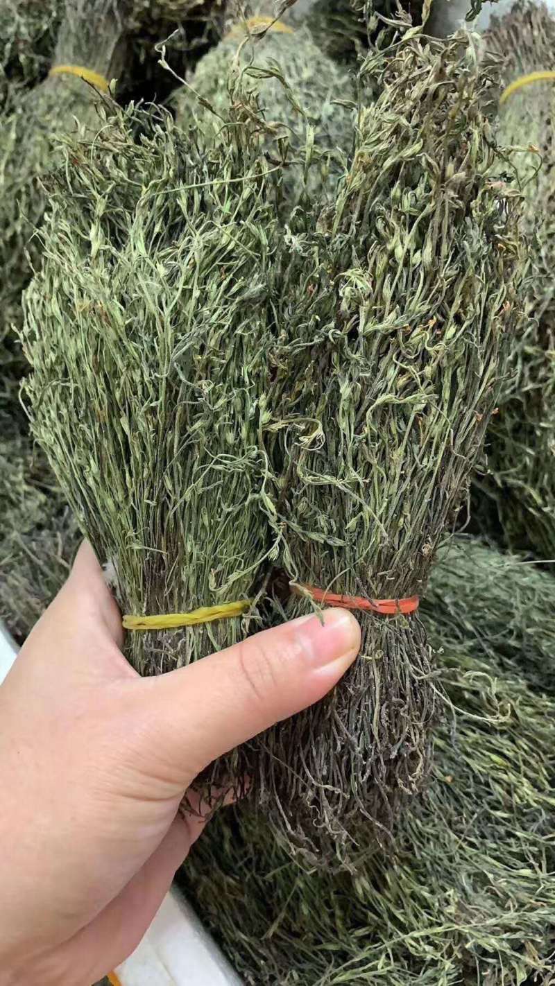【包邮】新货香青绿柬埔寨野生独脚金靓货足干一手货源