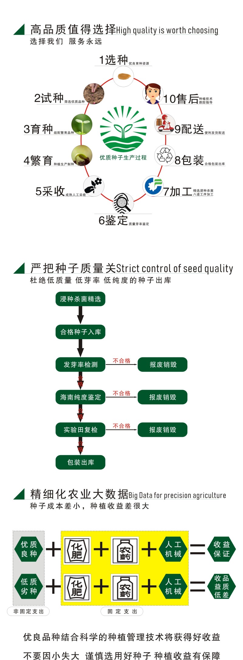 南瓜种子黄金二号红南瓜种子厂家批发供应，个大高产颜色亮