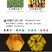 台湾香芋南瓜种子，厂家基地批发供应，耐热丰产香芋南瓜品种