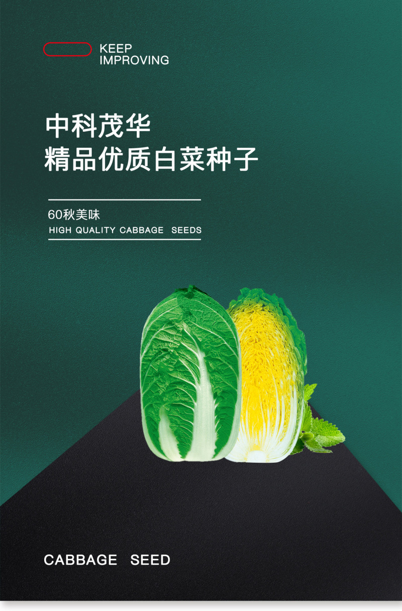 中科茂华蔬菜种子60秋美味白菜种子早熟高品质