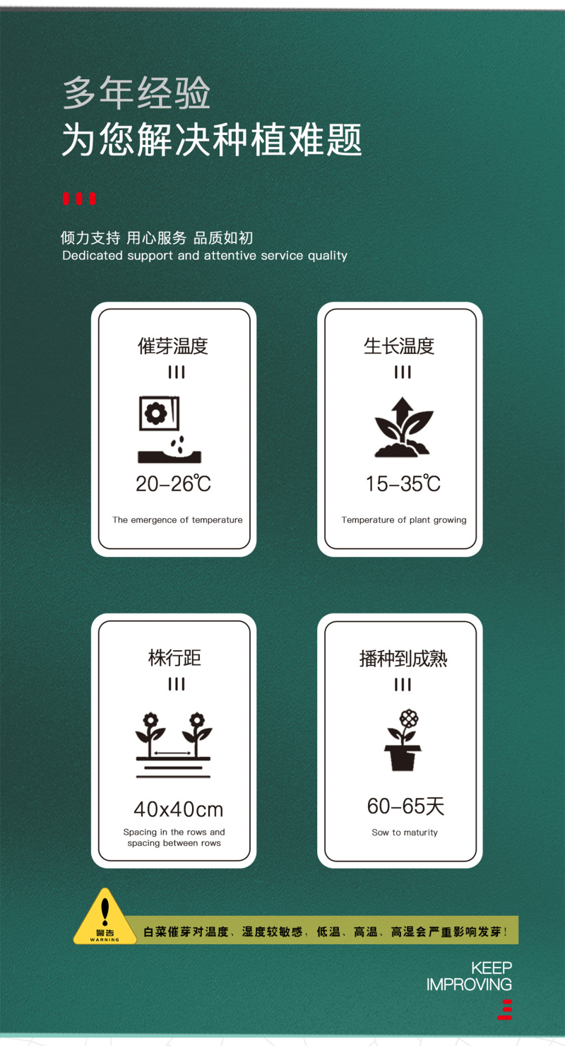 中科茂华蔬菜种子60秋美味白菜种子早熟高品质