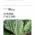 中科茂华蔬菜种子60秋美味白菜种子早熟高品质