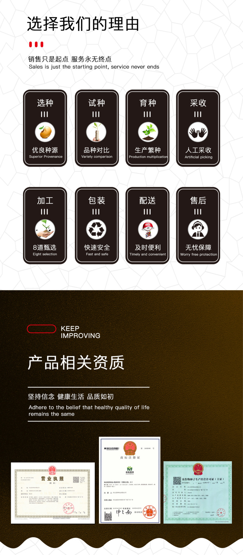 中科茂华蔬菜种子60秋美味白菜种子早熟高品质