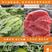 红瓤美都西瓜种子甜度好耐运输产地繁种批发发样试种！
