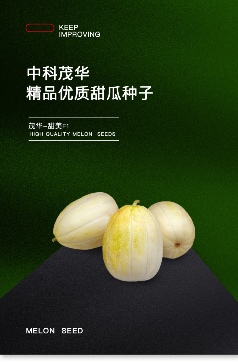 中科茂华瓜果种子茂华甜美甜瓜种子椭圆带绿黄润绿润白肉红瓤