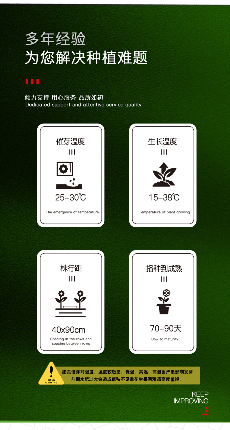 中科茂华瓜果种子茂华甜美甜瓜种子椭圆带绿黄润绿润白肉红瓤