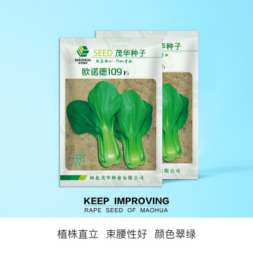 中科茂华蔬菜种子欧诺德109杂交青梗菜种子耐湿热家庭园艺