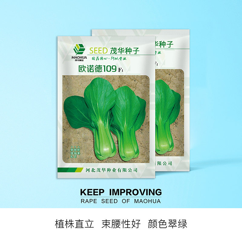 中科茂华蔬菜种子欧诺德109杂交青梗菜种子耐湿热家庭园艺