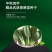 中科茂华蔬菜种子欧诺德109杂交青梗菜种子耐湿热家庭园艺