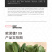 中科茂华蔬菜种子欧诺德109杂交青梗菜种子耐湿热家庭园艺
