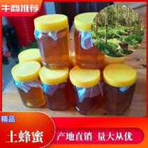 【精品】广西平南县特产土蜂蜜产地直供口感香甜欢迎电联