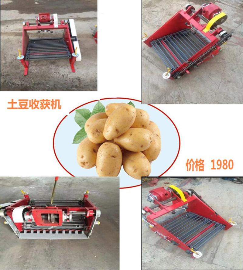 红薯收获机手扶车带的60工作幅宽的收红薯机起红薯机刨地瓜