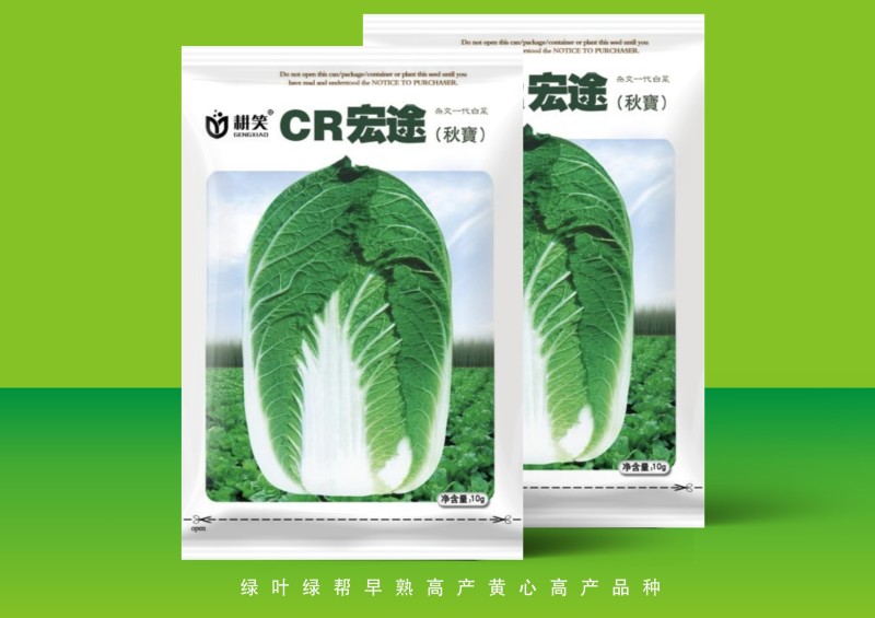 耐寒白菜\娃娃菜种子，黄心白菜\娃娃菜大田供种批发