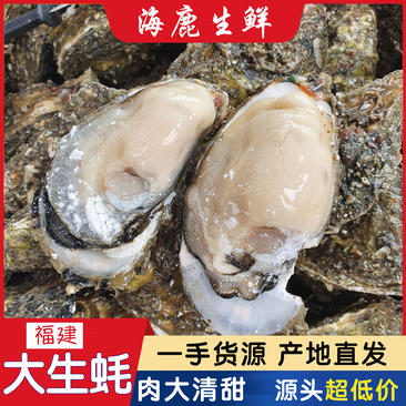 福建生蚝肉大清蒸烧烤专用生蚝海蛎牡蛎产地直发