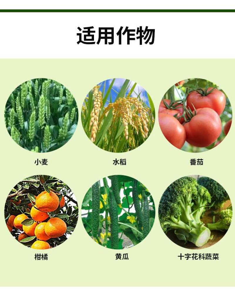 5%阿维.吡虫啉梨树木虱蚜虫蓟马稻虱盲蝽蟓农药杀虫剂